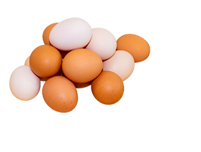 富士山御殿どり、たまご