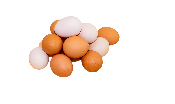 富士山御殿どり、たまご